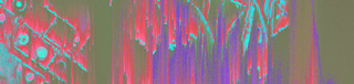 telematique, u-matic, Trailer, CTM-Festival 2016, 2016