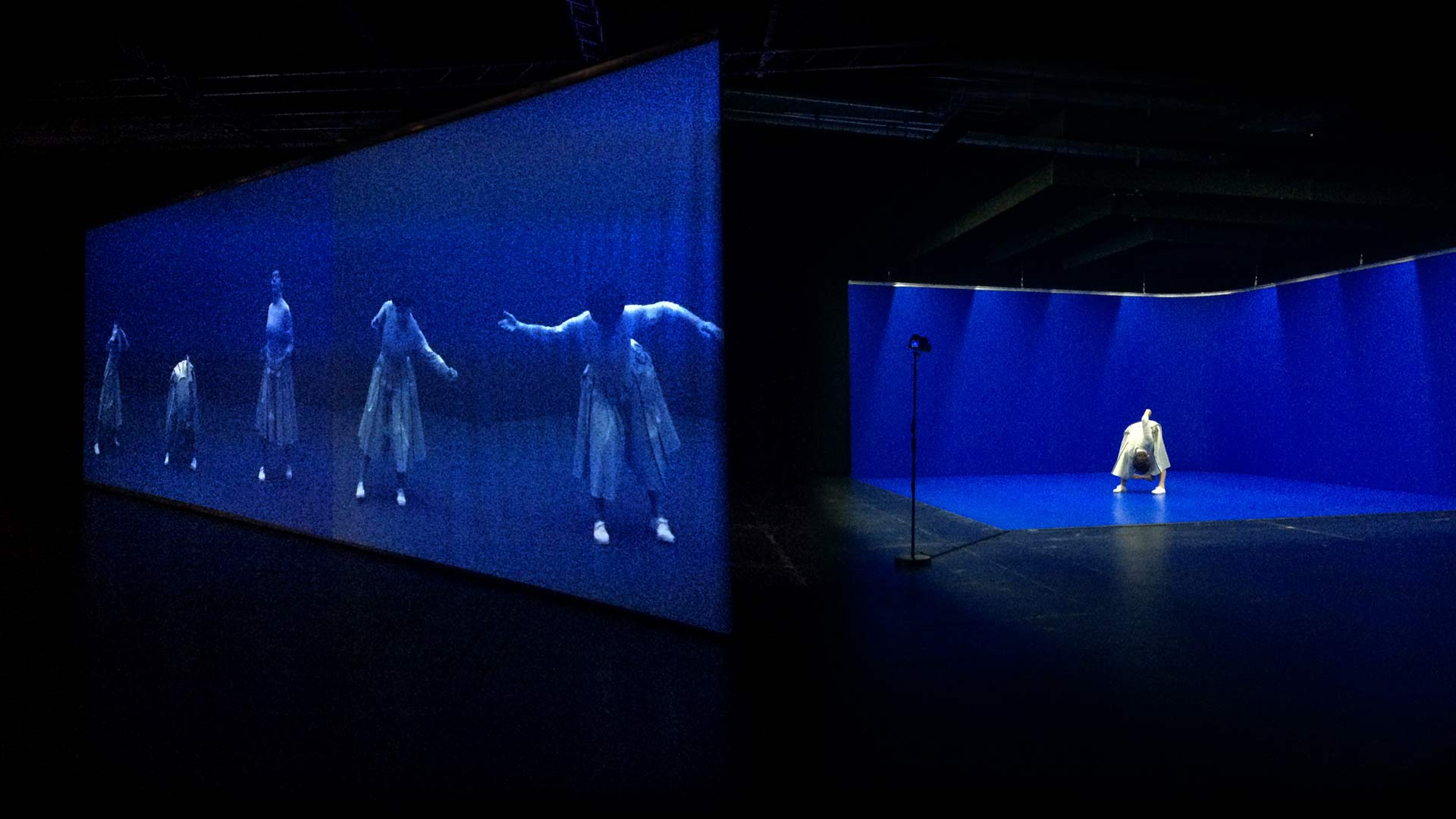 telematique, interactive video installation, Eadweard's Ear, Uferstudios Berlin, series photographs